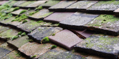 Upper Weald roof repair costs